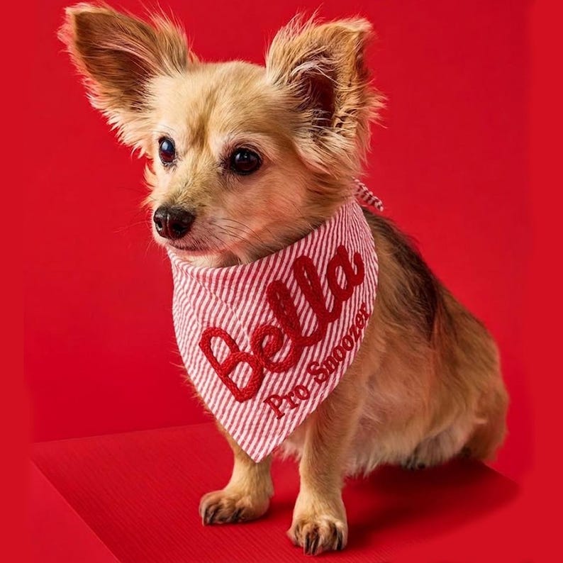 May include: A small, tan, long-haired dog wearing a white and red striped triangular bandana. The bandana features the embroidered red text Bella and Pro Snoozer. The dog has large, upright ears and dark eyes, positioned against a solid red background.
