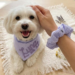 May include: A white dog wearing a light purple and white striped bandana with the embroidered name Luna and the text Brave Little Paws, accompanied by a matching light purple and white striped fabric hair scrunchie with the letter L printed on it.
