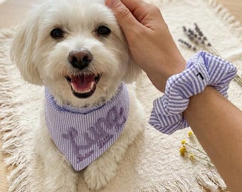 Pañuelo para perro bordado en 3D personalizado, conjunto de coletero a juego para el dueño, bufanda personalizada para mascota con nombre y eslogan, paquete hecho a mano para mamás perrunas.
