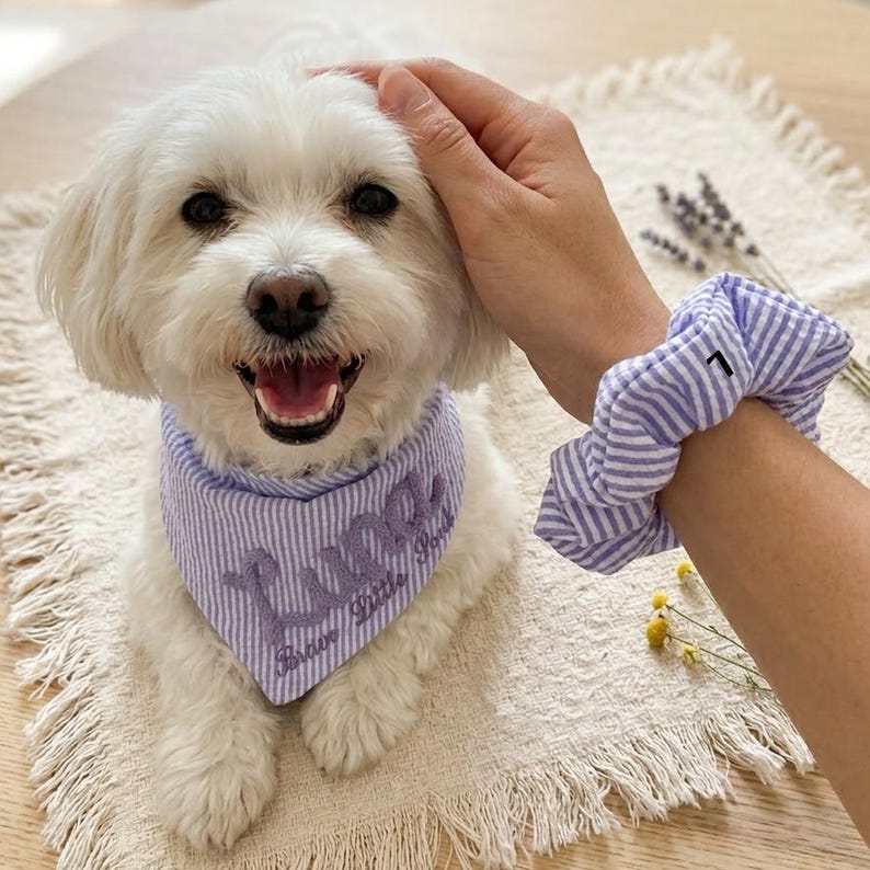 May include: A white dog wearing a light purple and white striped bandana with the embroidered name Luna and the text Brave Little Paws, accompanied by a matching light purple and white striped fabric hair scrunchie with the letter L printed on it.