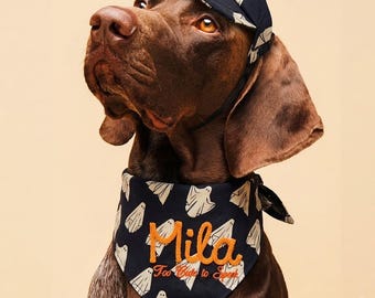 Personalized Halloween Dog Bandana and Cap Set, Custom 3D Rope Name Ghost Pet Scarf, Spooky Puppy Visor Hat, Trick or Treat Dog Costume