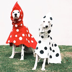 Op de afbeelding: Twee honden dragen regenjassen met capuchon. De ene hond draagt een felrode regenjas met witte stippen. De andere hond draagt een witte regenjas met zwarte stippen. Beide regenjassen hebben puntige capuchons met verstelbare zwarte koordjes.