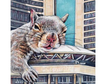 Giant Squirrel Napping In the City Fine Art Print