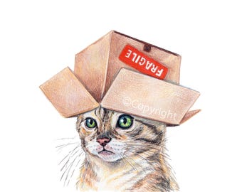 Thinking Inside the Box Cat Print of a Coloured Pencil Drawing of a Tabby Kitten