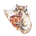 see more listings in the SQUIRRELS section