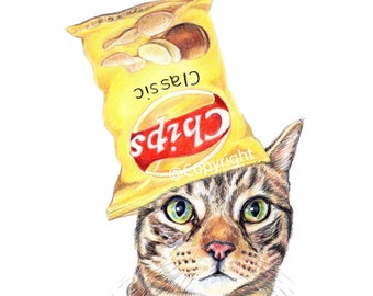 Chip the Cat Coloured Pencil Drawing of a Brown Tabby