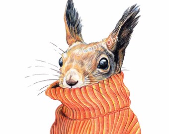 Sale Rack Sweater Squirrel - Print of an Original Coloured Pencil Drawing