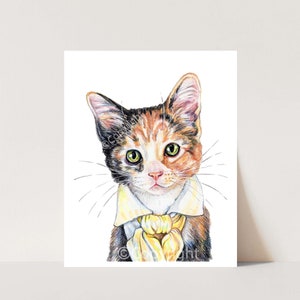 The Poet Calico Cat With a Romantic Soul Coloured Pencil Art image 2