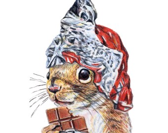 Squirrel Eating Chocolate Fine Art Print