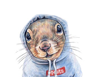 Nuts Fine Art Print Featuring a Squirrel Wearing a Blue Hoodie