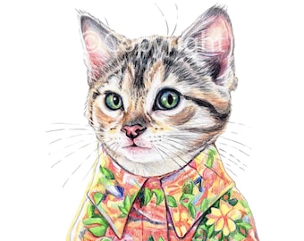 Hawaiian Kitten Coloured Pencil Drawing of a Calico Cat