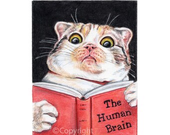 Calico Cat Reading a Book About The Human Brain Art Print