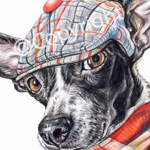 Dapper Dog Rat Terrier Mix Art Coloured Pencil drawing of Dog Wearing a Cap and Scarf image 3