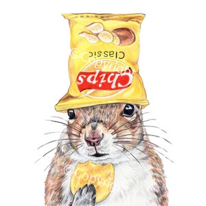 Könnte beinhalten: Eine Cartoon-Illustration eines Eichhörnchens, das einen gelben Beutel Chips auf dem Kopf trägt und einen Chip in der Pfote hält. Der Beutel Chips trägt die Aufschrift "Chips" und "Classic".