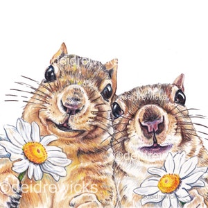 Daisy Squirrels Coloured Pencil Art Print