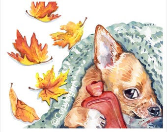 Chihuahua Dog Art Print - Hiding Under a Blanket because it's Chilly Autumn