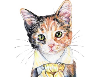 The Poet Calico Cat With a Romantic Soul Coloured Pencil Art