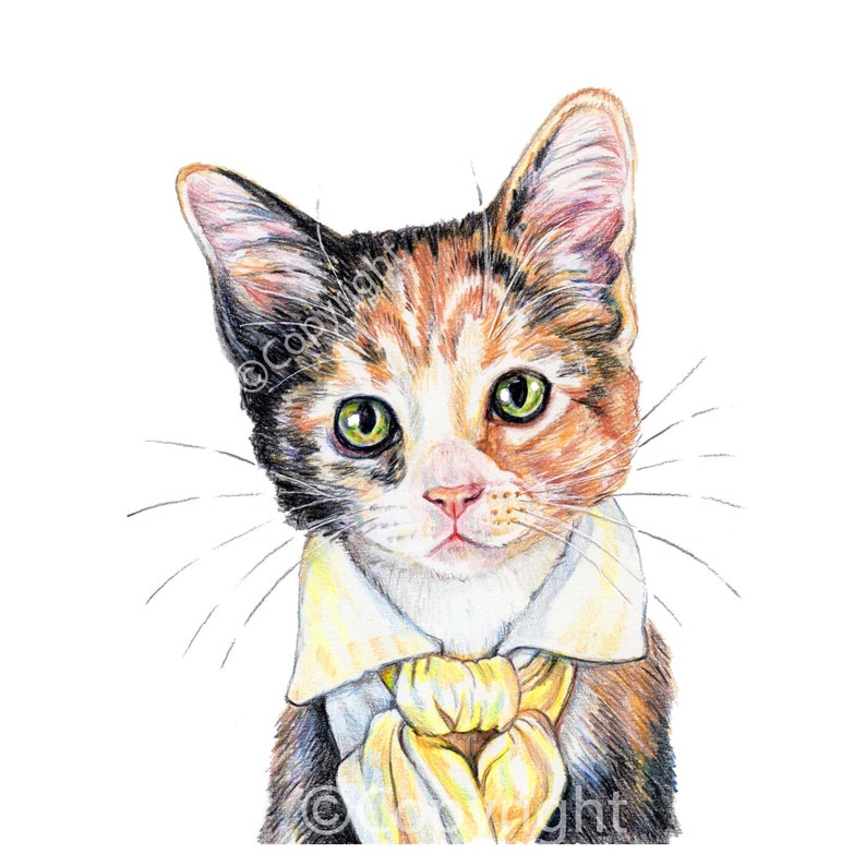 The Poet Calico Cat With a Romantic Soul Coloured Pencil Art image 1
