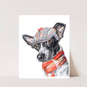 Dapper Dog Rat Terrier Mix Art Coloured Pencil drawing of Dog Wearing a Cap and Scarf image 2