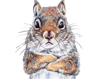 Nope Grumpy Squirrel Fine Art Paper