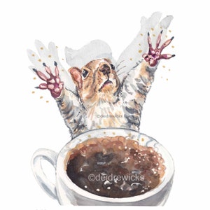 Red Squirrel Watercolour Painting Black Magic Coffee Art Print image 1