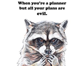 Evil Planner Raccoon Fine Art Print