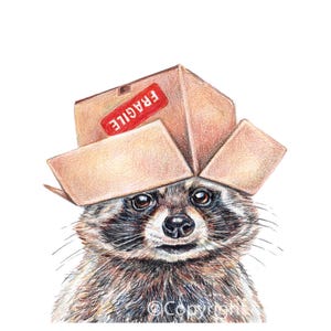 Rysunek ołówkiem kolorowym Raccoon Art - Myślenie w pudełku