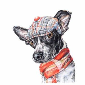 Dapper Dog Rat Terrier Mix Art Coloured Pencil drawing of Dog Wearing a Cap and Scarf image 1