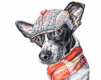 Dapper Dog Rat Terrier Mix Art - Coloured Pencil drawing of Dog Wearing a Cap and Scarf