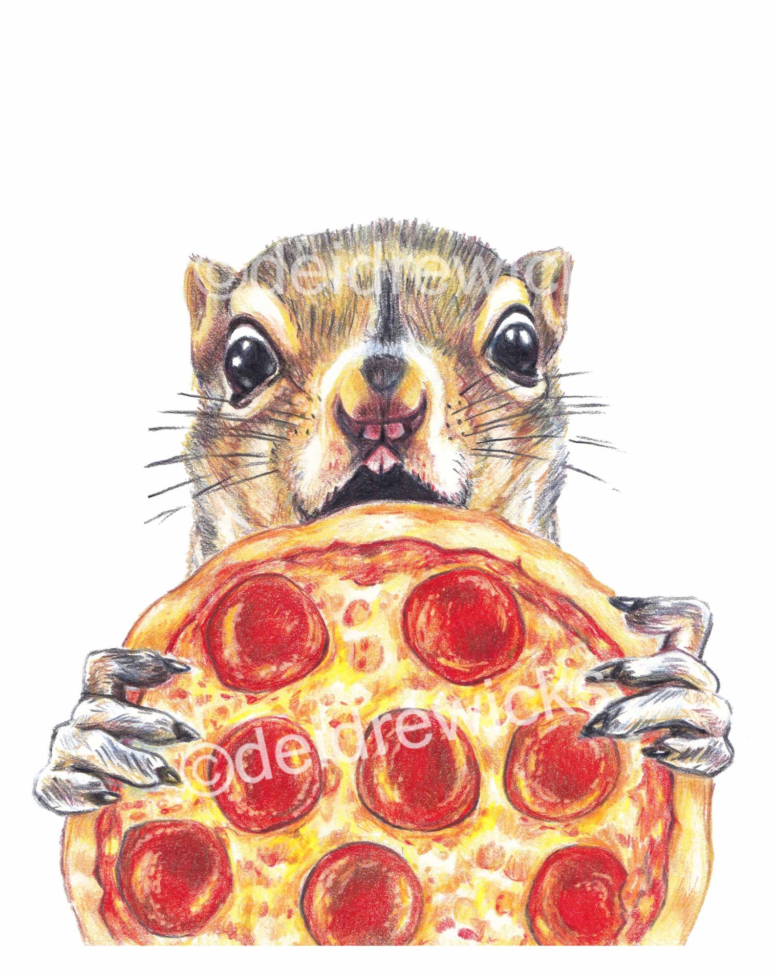 Squirrel Eating Pizza PRINT Coloured Pencil Illustration Etsy