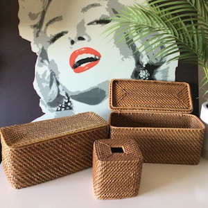 Set Of 2 Vintage Woven Rattan Storage Baskets With Lids & Tissue Box Cover Mid-century modern Decor