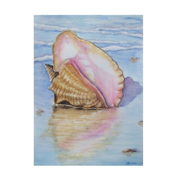 Shell Watercolor Print Sea Shore Painting Conch ART Reinecke Summer Ocean Tropical Hawaii Beach