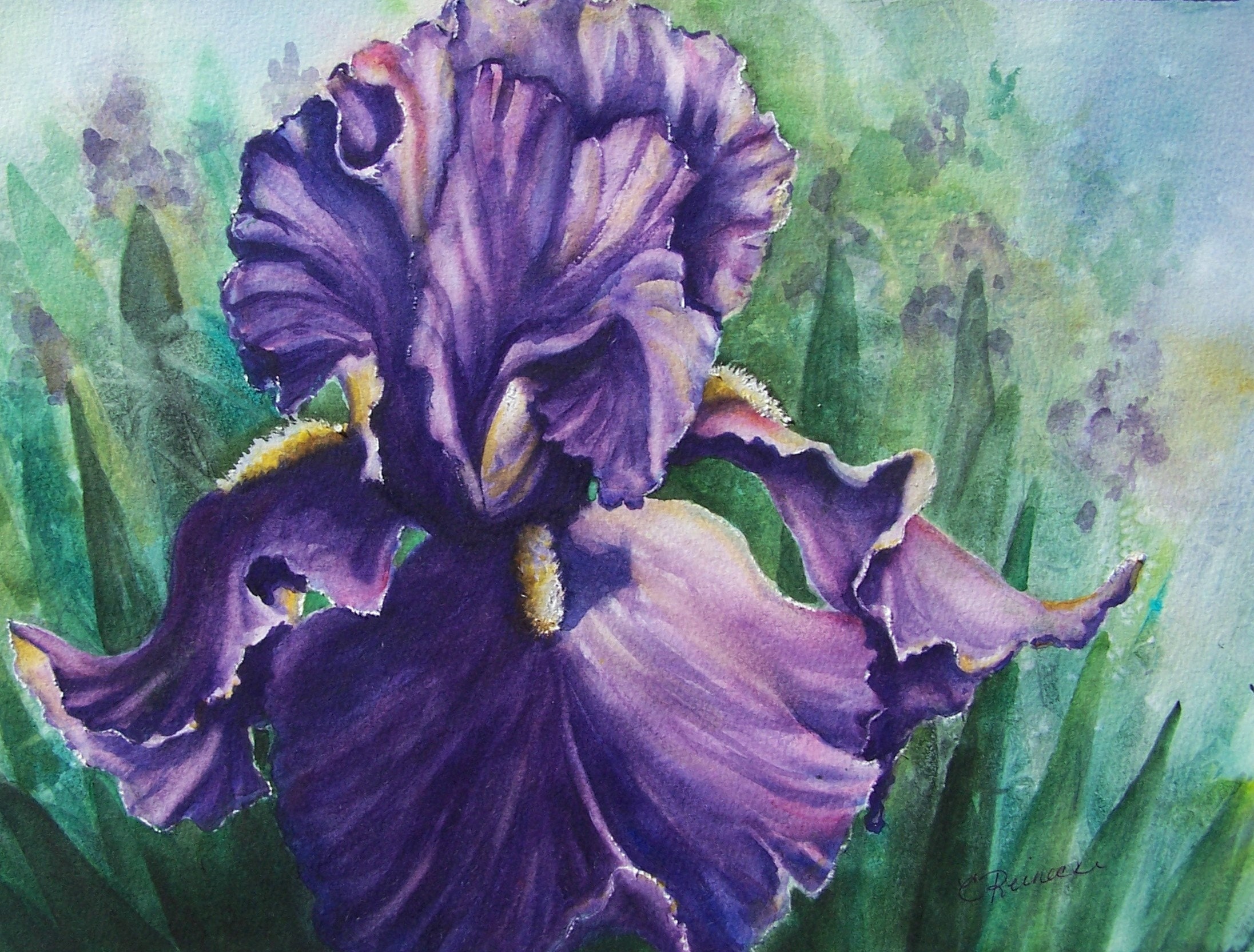 Purple Iris Original ART Watercolor Painting Nature Floral | Etsy