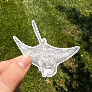 Manta Ray Sticker