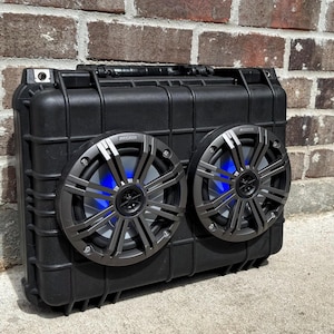 3800 Speaker Box! Turtle Box Killer! Super LOUD!