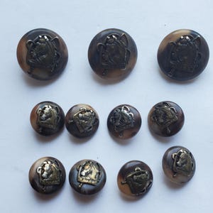 May include: A collection of eleven round, brown, marbled buttons of varying sizes. Each button features a centered, raised, metallic-toned emblem depicting a horse head profile framed within a shield-like shape with a sword or baton behind it.