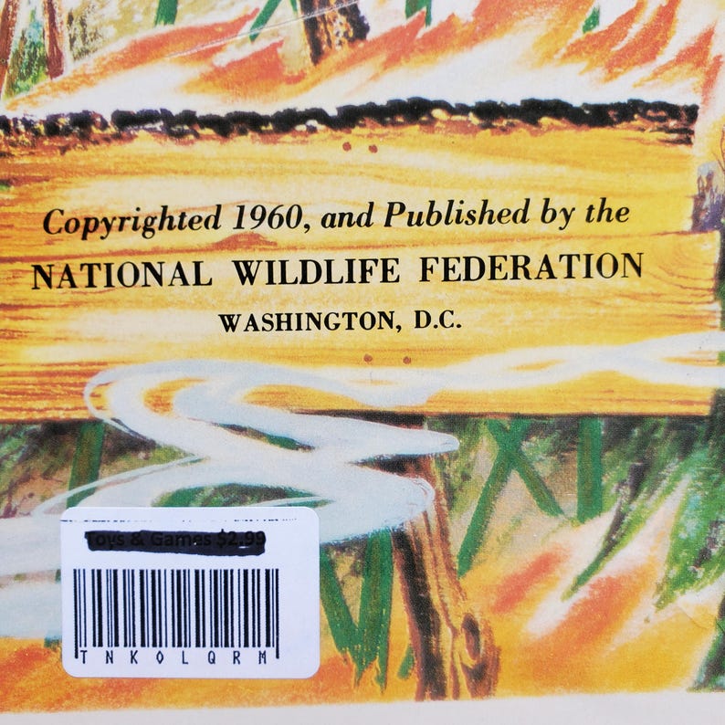 Vintage EUC Ranger Rick and the Great Forest Fire Board Game Paperback Book National Wildlife Federation Racoon Smokey The Bear Educational 画像 18