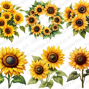 May include: Watercolour illustrations of sunflowers in various arrangements. The images feature bright yellow petals, dark brown centres, and green leaves. Some arrangements include bouquets, wreaths, and individual flowers.