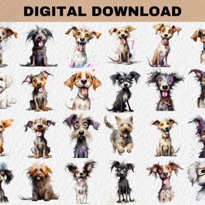 Amusing doggy clipart
Cheerful dog clipart
Rib-tickling dog clipart
Chucklesome doggy clipart
Funny dog breed clipart
Laughing doggy clipart
Silly canine clipart
Playful tail-wagger clipart
Amusing tail-wagger clipart