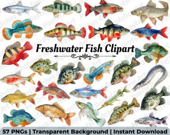 Freshwater Fish Clipart Bundle - Watercolor Ocean Bass Trout, Fisherman Art, Sea Fishing Halibut Salmon Cod PNG Illustrations