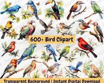 May include: A collection of watercolor-style bird illustrations featuring various species like toucans, parrots, and songbirds perched on branches. The image includes the text 600+ Bird Clipart, Transparent Background, and Instant Digital Download.