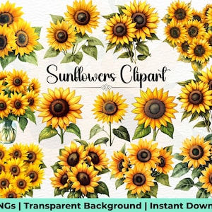 Paquete de 30 imágenes PNG de girasoles en acuarela, coronas de girasoles, ramos florales, sublimación, uso comercial, descarga instantánea