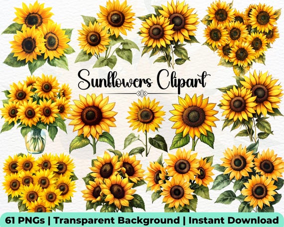30 PNG Watercolor Sunflowers Clipart Bundle, Sunflower Wreaths, Floral Bouquets, Sublimation, Commercial Use, Instant Download