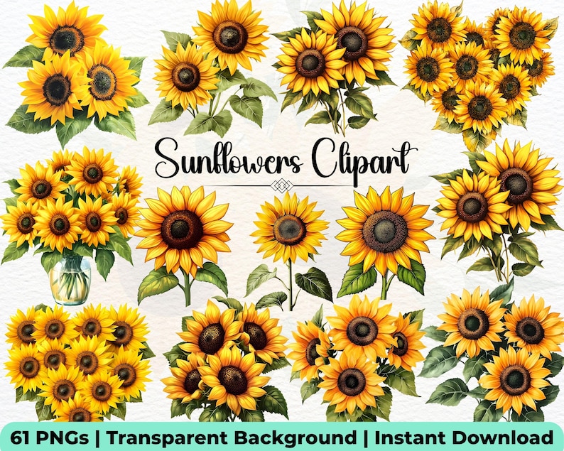 May include: A selection of watercolour sunflower clipart images. The sunflowers are shown in different arrangements, with bright yellow petals and dark brown centres. The text "Sunflowers Clipart" is displayed, along with information about the PNG format and instant download.