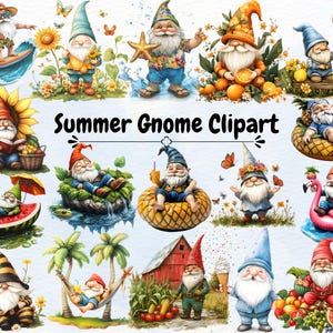 Summer Gnome Clipart, Vibrant Summer Beach Gnome Png, Colorful Nature Gnome Clipart, Tropical Gnomes Png Graphics, Gnome Sublimation