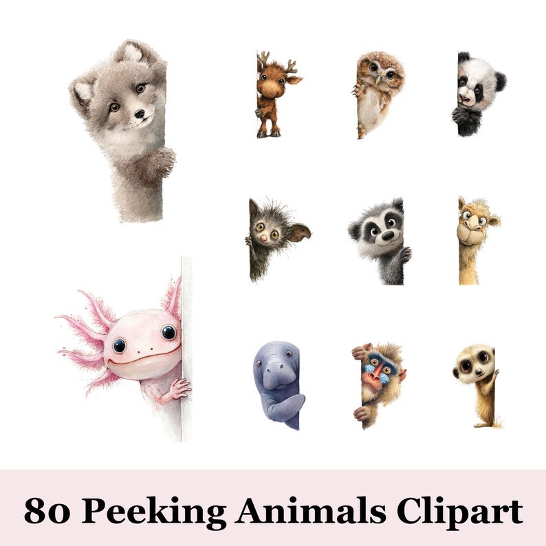 80 Quirky Peeking Animals Clipart | Cute Farm Animal PNG Bundle | Funny ...
