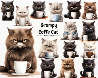 Imágenes prediseñadas de gato gruñón, imágenes de gato enojado, más de 25 imágenes de gatos malhumorados, imágenes de gatos divertidos, uso comercial imprimible, descarga digital instantánea