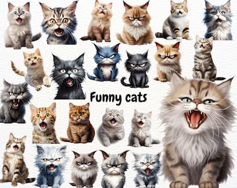 Funny Cat Clipart, Grumpy Cat Graphics, Cute Cats Clipart, Funny Animal Clipart, Cute Animals PNG, Safari Animals, Playful Graphics Nursery