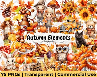 Elementos de Outono - Clipart de Outono em Aquarela, Clipart de Abóbora Fofa, Gráficos Florais de Outono, Clipart de Outono, Imagens Aconchegantes de Outono