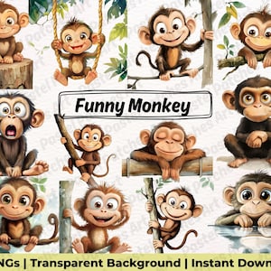 Roliga fräcka apor Clipart-paket, söta djungeldjur PNG, nyckfulla safarigrafik, transparent digital nedladdning, kommersiellt bruk